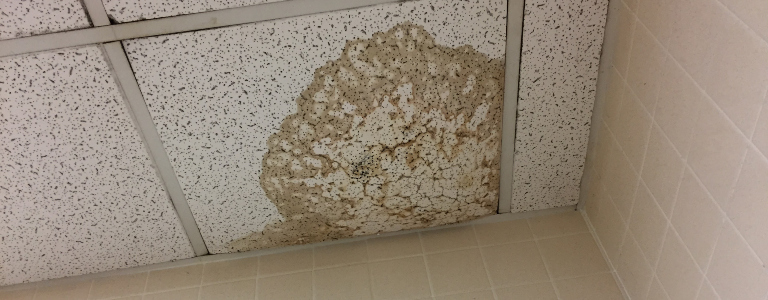 Ceiling water damage